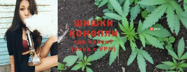 гидра Абаза