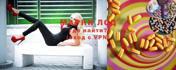 гидра Абаза