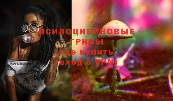 a pvp Алексин