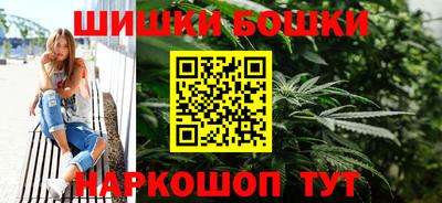 мдпв Можга