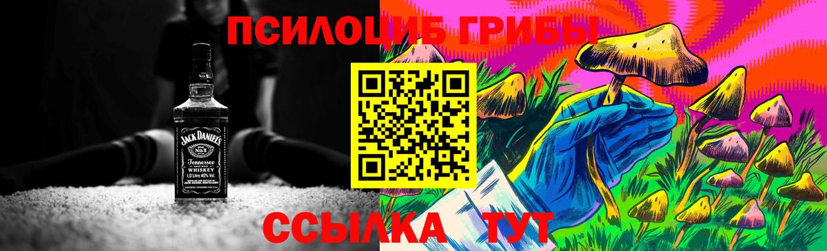 Галлюциногенные грибы прущие грибы  Вход с VPN  Псилоцибиновые грибы MAGIC MUSHROOMS  Череповец 